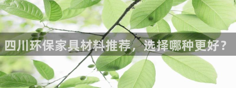 杏耀开户app下载：四川环保家具材料推荐，选择哪种更好？